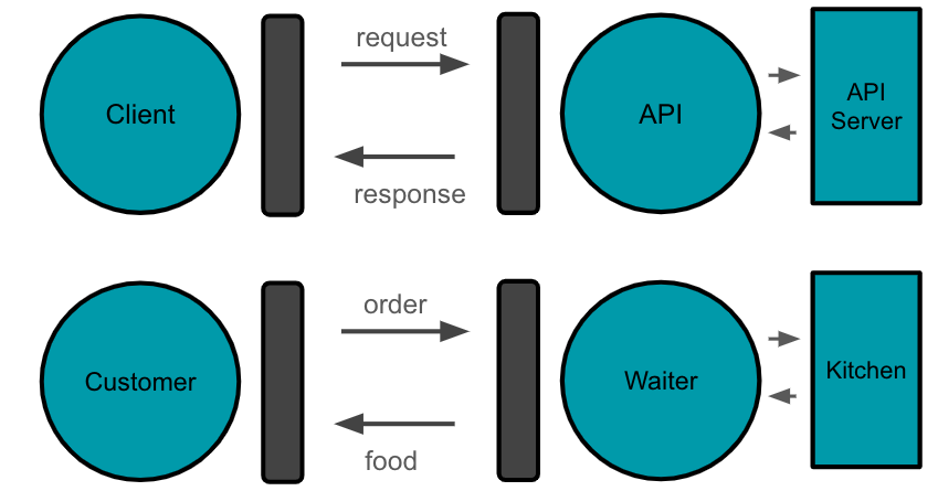 apis